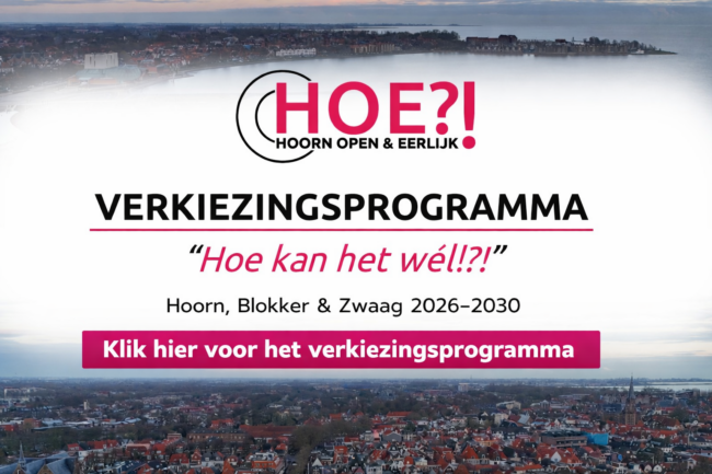 Verkiezingsprogramma afbeelding